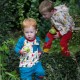 Bluzita din bumbac organic - Little Green Radicals - Midnight Blue Bear Necessities 2/3 ani
