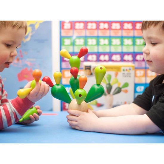 Cactusul instabil - Joc de indemanare 