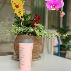 Cana multifunctionala din silicon cu capac - GoSili - Silver Stripe Cana multifunctionala din silicon cu capac - GoSili - Silver Stripe